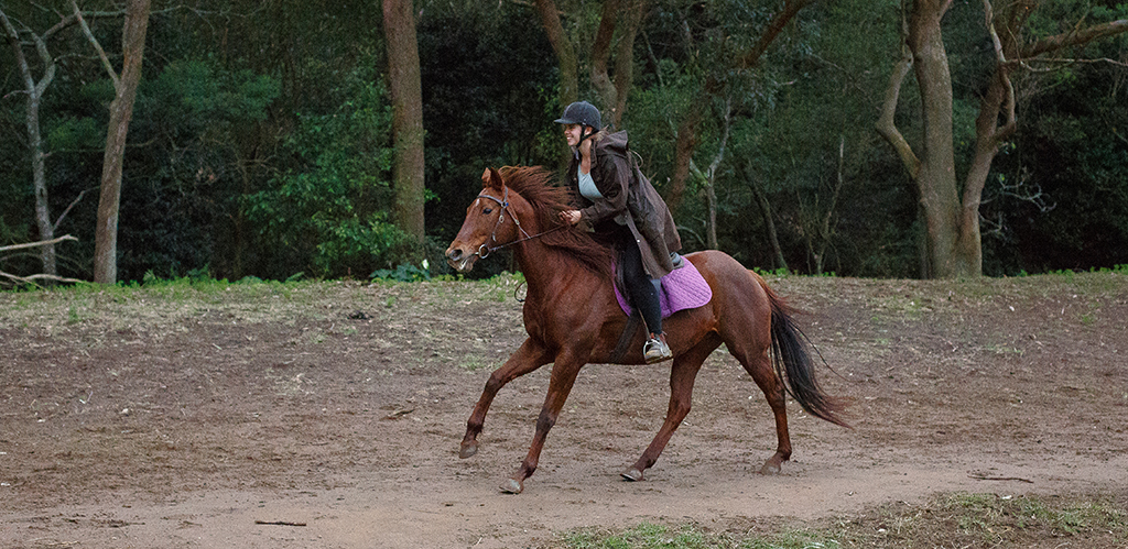 Otford Horse Farm