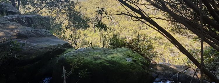 Surrounding Countryside