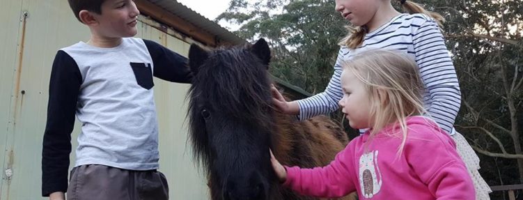 Pat our friendly ponies