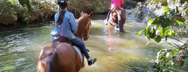 Rainforest Ride (Approx. 1 hour)