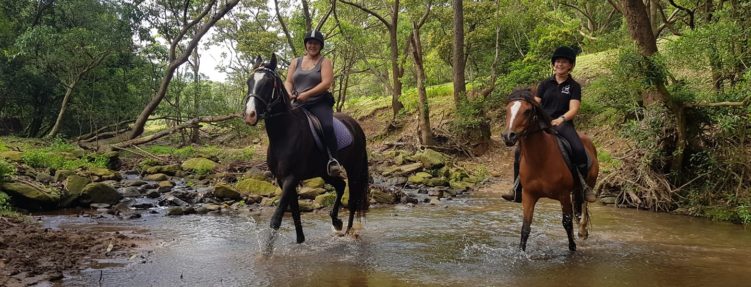 Bald Hill Adventure Ride (Approx. 3 hours)