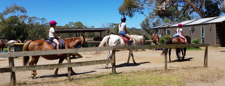 Pony Rides (Approx. 30 mins)